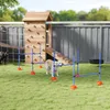PawHut Agility Set: 4-delige agility-uitrusting voor Productafbeelding-voorbeeld 2