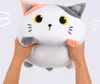 squishmallows Riesenkissen Weiße Katze Produktbild-Vorschau 6