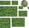 Samolepicí fototapeta – nástěnné malby do obývacího pokoje Náhled obrázku produktu 5