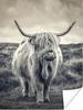 MuchoWow® Poster Schottischer Hochländer - Tiere - Wolken - Produktbild-Vorschau 1