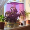 Clanmacy 15W LED Pflanzenlampe Grow Lampe Pflanzenlicht Produktbild-Vorschau 7