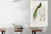 MuchoWow® Poster Vogel - Vintage - Zweig 80x120 cm - Produktbild-Vorschau 2