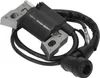 Module de remplacement de la bobine d'allumage pour moteur Voir les images du produit 2