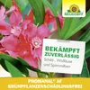 Promanal AF Grünpflanzen SchädlingsFrei Spray gegen Produktbild-Vorschau 6