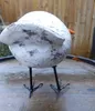 A decorative bird sculpture on a wooden table with a wooden fence in the background. Produktbild-Vorschau