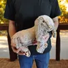 Maman lapin avec bébés Doudou Noxxiez Lapin en peluche Voir les images du produit 6