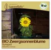 Samenliebe  Sonnenblume Samen | Sunspot - gelb & mini - Produktbild-Vorschau 1