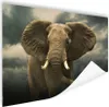 MuchoWow® Poster Afrikanischer Elefant gegen die dunklen Produktbild-Vorschau 1