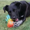 A black dog is playing with a colorful octopus toy on a grassy lawn. Produktbild-Vorschau