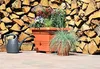 Plastia Pflanzenkübel Bergamot, Blumentopf mit Produktbild-Vorschau 4