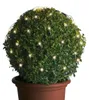 LED Lichternetz für Buchsbaum - Kugelnetz - 60 warmweiße Produktbild-Vorschau 2