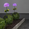 LED Solarstab 'Hortensie' - pink - 27 kaltweiße LED - H: 77cm, D: 16cm - Dämmerungssensor Produktbild-Vorschau