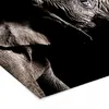 MuchoWow® MuchoWow® Gerahmtes Poster Elefant - Schwarz - Produktbild-Vorschau 7