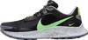 Schuhe Nike Pegasus Trail 3 DA8697004 Produktbild-Vorschau 1