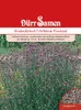 Eisenkraut Verbena Finesse | Eisenkrautsamen von Dürr Samen Produktbild-Vorschau 1