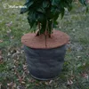 A plant in a pot on the ground, covered with a brown disc. Produktbild-Vorschau