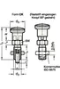 Ganter Norm Rastbolzen GN 817 d1 6 mm d2 M 12 x 1,5 mm l1 6 Produktbild-Vorschau 3