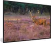 MuchoWow® MuchoWow® Gerahmtes Poster Hirsche - Niederlande Produktbild-Vorschau 1