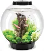 Oase biOrb CLASSIC 30 Liter Aquarium MCR schwarz Produktbild-Vorschau 6