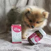 Omni Biotic Cat & Dog Pulver 60 g Anteprima dell’immagine prodotto 3