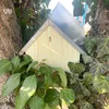 Maison des écureuils Voir les images du produit 3
