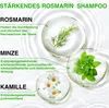 Shampoo Rosmarin Mint Kopfhaut Pflege für Haarwachstum Produktbild-Vorschau 2