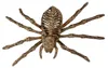 Skelett Spinne als Halloween Dekoration 24cm Produktbild-Vorschau 2