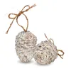 Two pinecone-shaped bird feeders made of seeds and fat, tied with twine for hanging. Produktbild-Vorschau