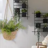 2x Pflanzkorb zum Aufhängen S:Ø22x15cm; M:Ø25x18cm Produktbild-Vorschau 3