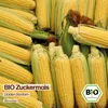 Samenliebe  Zuckermais Samen | Golden Bantam - süß - Produktbild-Vorschau 4