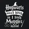 Como Hogwarts no estaba contratando, opté por enseñar a Vista previa de la imagen del producto 9
