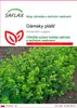 SAFLAX - dámsky plášť - Alchemilla vulgaris - 100 Semená Náhľad obrázku produktu 1