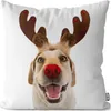 VOID Hund Winter Geweih Rentier Kissenbezug Kissenhülle Produktbild-Vorschau 1