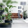 Prosperplast Furu Runder Blumentopf 39x39x32cm Silber 39 x Produktbild-Vorschau 3