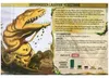 Spirit Island: Unterirdisch lauernde Reißzähne Produktbild-Vorschau 2