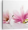 Bild auf Leinwand - Leinwandbild - Magnolie blume natur Produktbild-Vorschau 1