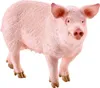 Schleich 13782 Maiale del mondo agricolo Anteprima dell’immagine prodotto 2