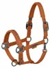 Eskadron Platinum Halfter " SPARKLE DOUBLE PIN ", Produktbild-Vorschau 5