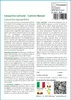 SAFLAX  - Casuarina comune - 200 semi - Casuarina Anteprima dell’immagine prodotto 3