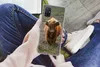MuchoWow® Handyhülle Schutzhülle Hülle für Samsung Galaxy Produktbild-Vorschau 3
