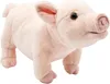 Maiale di peluche 26 cm ECO-FRIENDLY Anteprima dell’immagine prodotto 3