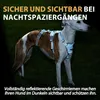 Harnais de sécurité pour chien, anti-évasion, Voir les images du produit 6