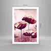 Poster - Poster ohne Rahmen - Mohn Blume Wiese - 50x70 cm - Produktbild-Vorschau 4