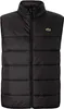 Lacoste Vest 124-15302790742360 in nan color size 52 Produktbild-Vorschau 6