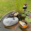 CLGarden Wasserspeier Komplettset Frosch auf einem Stein Produktbild-Vorschau 11