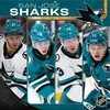 Turner San Jose Sharks NHL 30,5 x 30,5 cm Team Wandkalender Produktbild-Vorschau 1