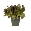 Kvetináč Green Basics - zelený list 35 cm Náhľad obrázku produktu 3