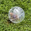 A hamster in a clear plastic ball on green grass. Produktbild-Vorschau