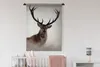 MuchoWow® Wandteppich Wandbehang Hirsche - Geweihe - Tiere Produktbild-Vorschau 2