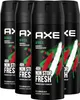 Axe  Bodyspray Africa Deo ohne Aluminium 150 ml 4 Stück Produktbild-Vorschau 2